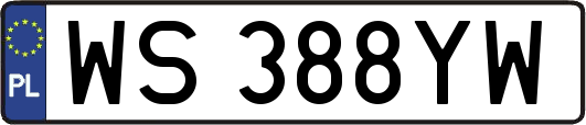 WS388YW