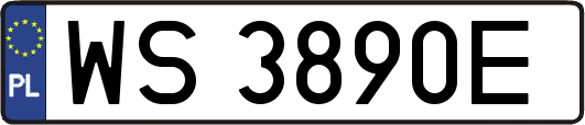 WS3890E