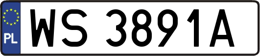 WS3891A