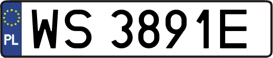 WS3891E