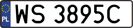 WS3895C