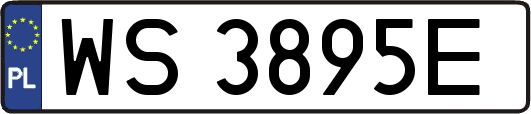 WS3895E