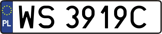 WS3919C