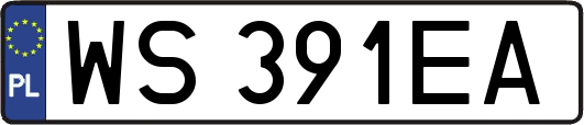 WS391EA