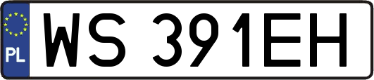 WS391EH