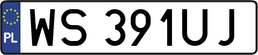 WS391UJ