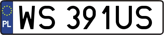 WS391US