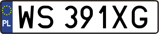 WS391XG