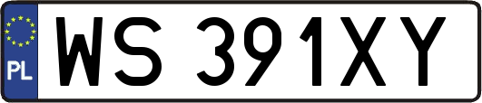 WS391XY