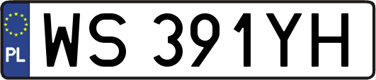 WS391YH