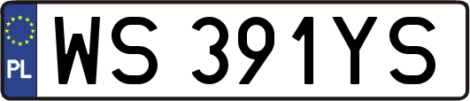 WS391YS