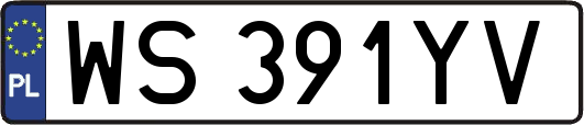 WS391YV