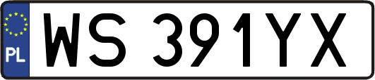 WS391YX