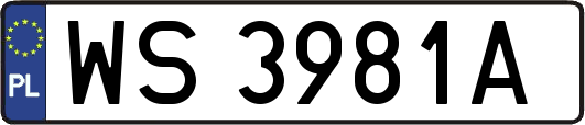 WS3981A