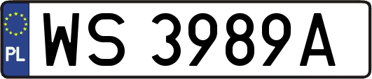 WS3989A