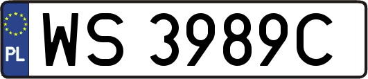 WS3989C