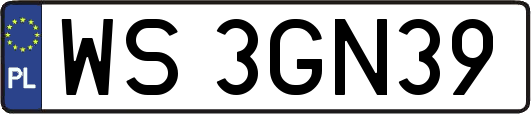 WS3GN39