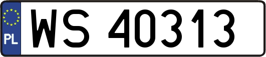 WS40313