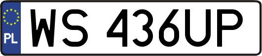 WS436UP