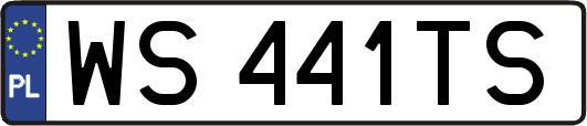 WS441TS