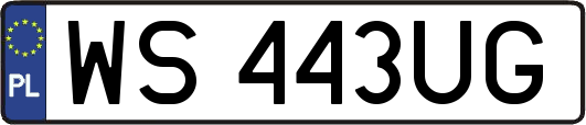 WS443UG