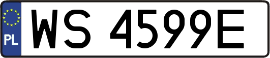 WS4599E