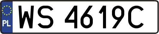 WS4619C