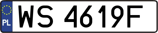 WS4619F