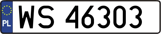 WS46303