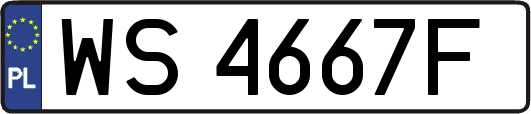 WS4667F