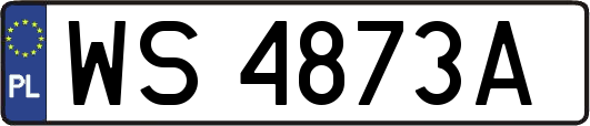 WS4873A