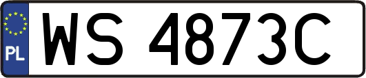 WS4873C