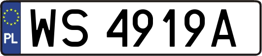 WS4919A