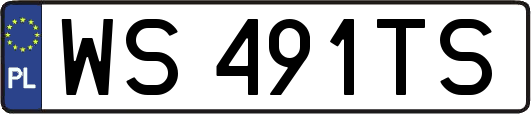 WS491TS