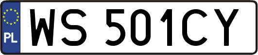 WS501CY