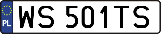 WS501TS