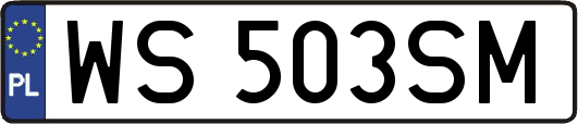 WS503SM
