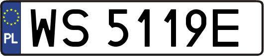 WS5119E