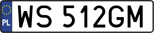 WS512GM