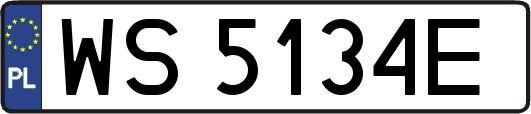 WS5134E