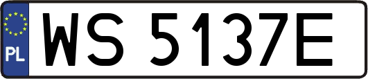 WS5137E