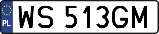 WS513GM
