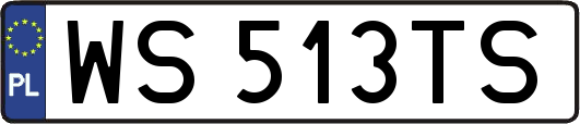 WS513TS