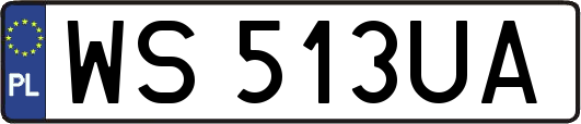WS513UA