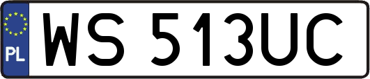 WS513UC