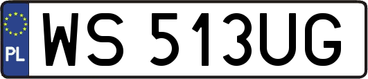 WS513UG