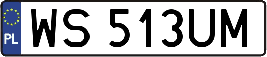 WS513UM