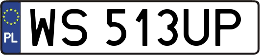 WS513UP