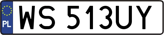 WS513UY
