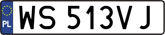 WS513VJ